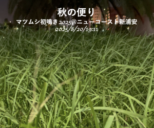 中井信也(昭和49年工）様からの御投稿